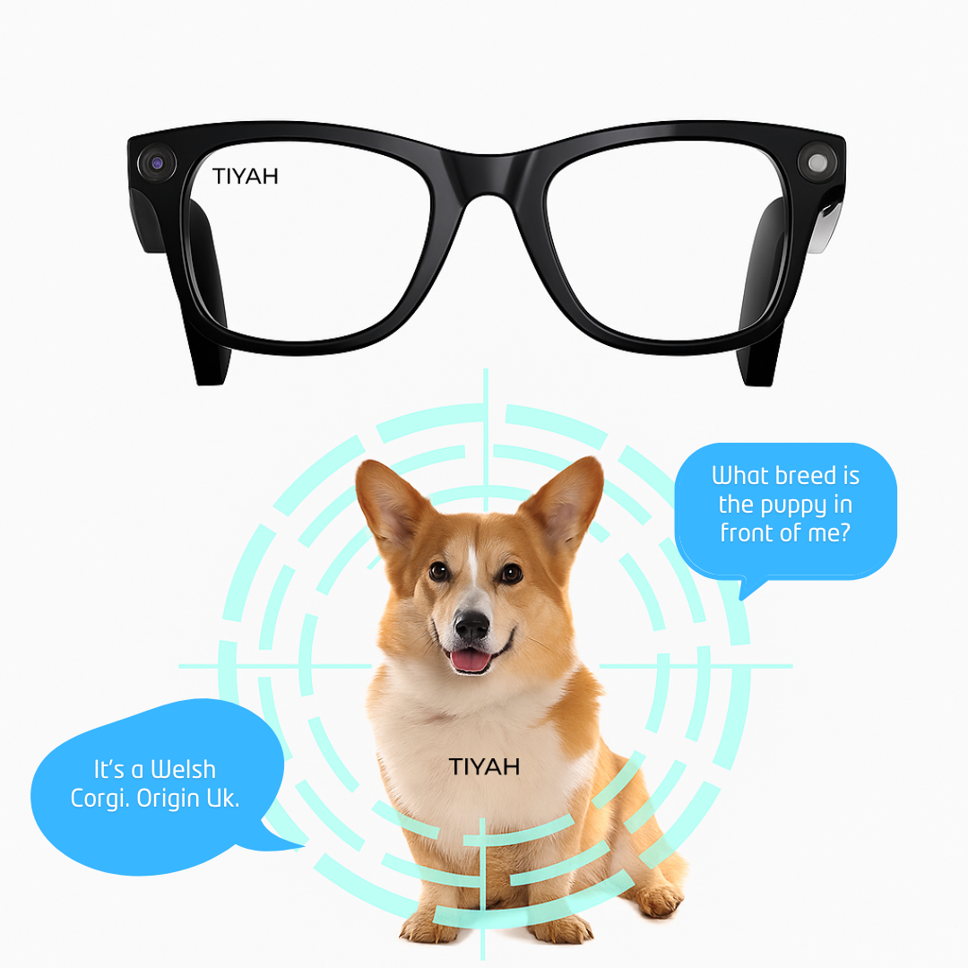 TIYAH X7 AI Personal Assistant Glasses